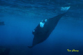Manta at Bali with my Olympus C 7070 